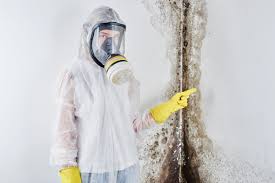 Best Mold Odor Removal Services in Long Branch, NJ